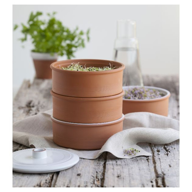Germoir en Terre Cuite 3 Etages 17 x 21 cm Germoir en Terre Cuite 3 Etages 17 x 21 cm