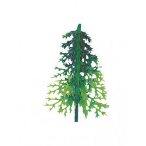 Sapin Vert Volume x100 Sapin Vert Volume x100