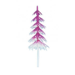 Sapin Blanc et Fuchsia Volume x144 Sapin Blanc et Fuchsia Volume x144