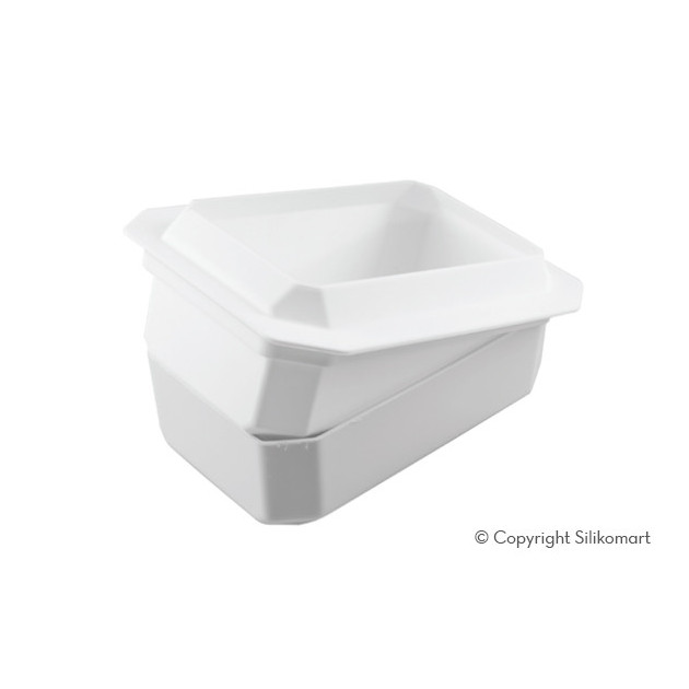 Moule Silicone Lingot et Support Plastique SilikoMart Professional
