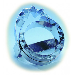 Emporte Pièce Ananas Double