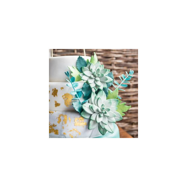 Fleurs comestibles decorees de colorant alimentaire vert houx Fleurs comestibles decorees de colorant alimentaire vert houx