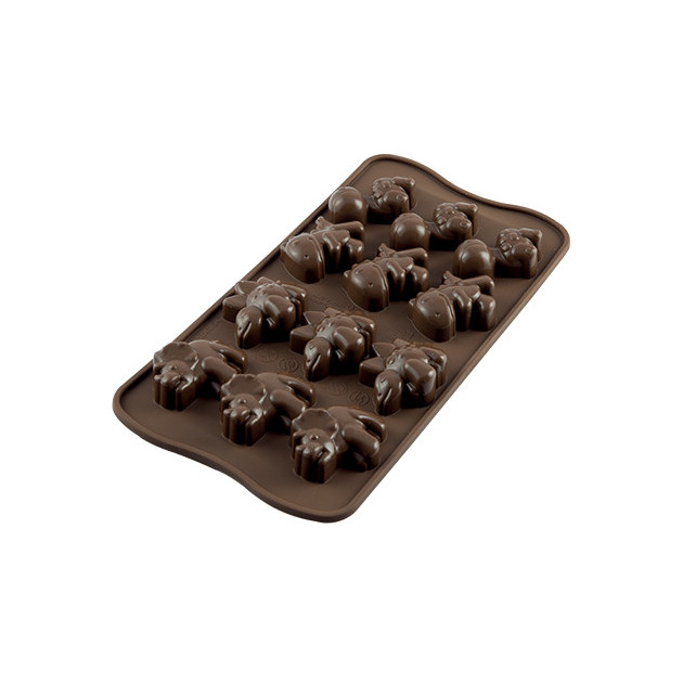 Moule a Chocolat 12 Dinosaures Easy Choc - Silicone Special Chocolat