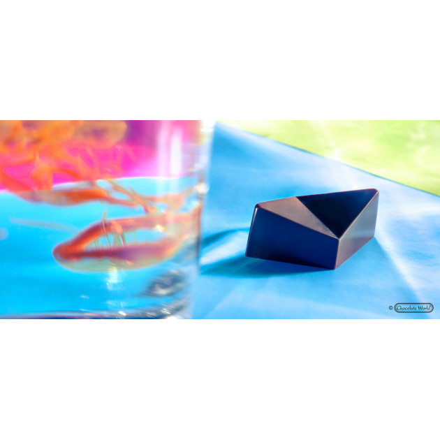 Pralines Tropicale forme origami confectionnees a l'aide de la plaque a chocolat Chocolate World