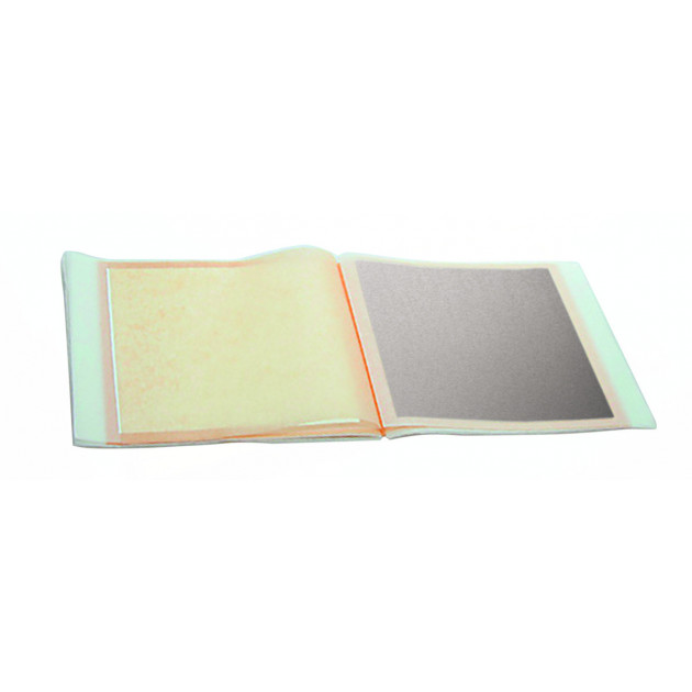 Feuilles d'Argent Carnet x25