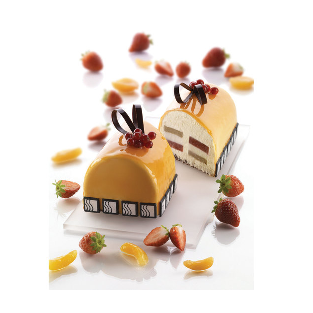 Moule Silikomart 6 BÃ»ches