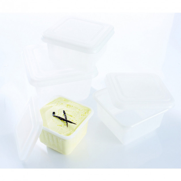 Bac de Transport pour Glace. 4 dimensions fournis avec couvercle