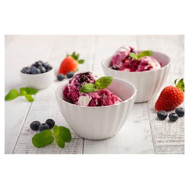 Realisez des glaces facilement a l'aide la sorbetiere Lagrande 1.8 L Realisez des glaces facilement a l'aide la sorbetiere Lagrande 1.8 L