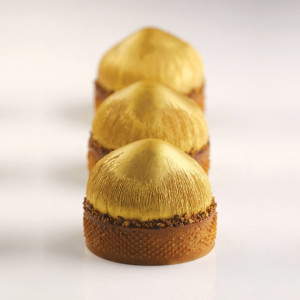 Moule Silicone 20 Noisettes 65 ml Cédric Grolet Pavoni Moule Silicone 20 Noisettes 65 ml Cédric Grolet Pavoni