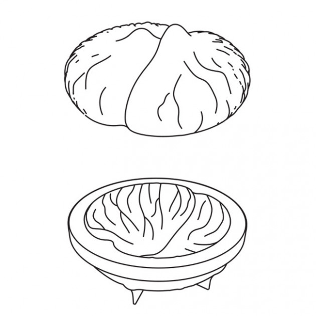 Moule Pavoni - Cedric Grolet