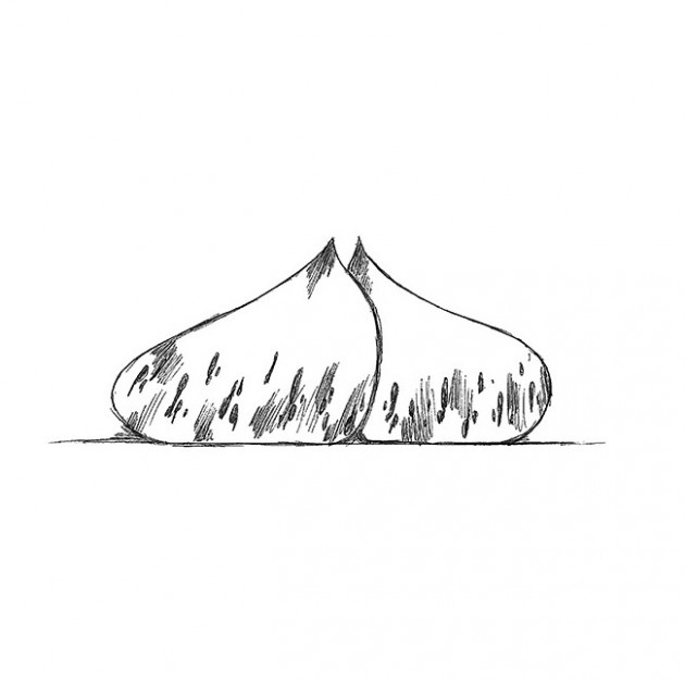 Dessin Entremets Marron