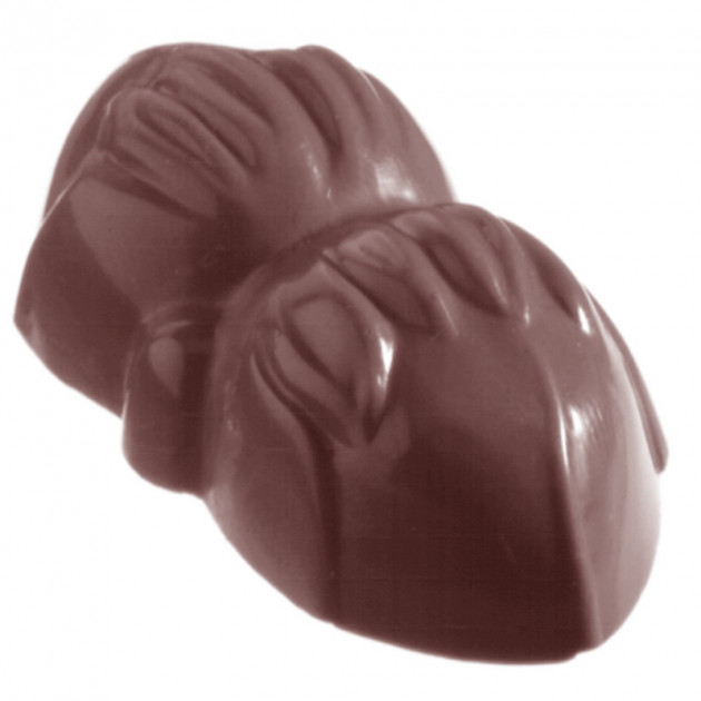 Moule Bonbon Chocolat Noisette (x21) Chocolate World