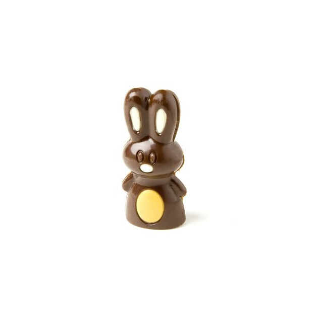 Lapin realise avec le Moule a Chocolat et colore Lapin realise avec le Moule a Chocolat et colore