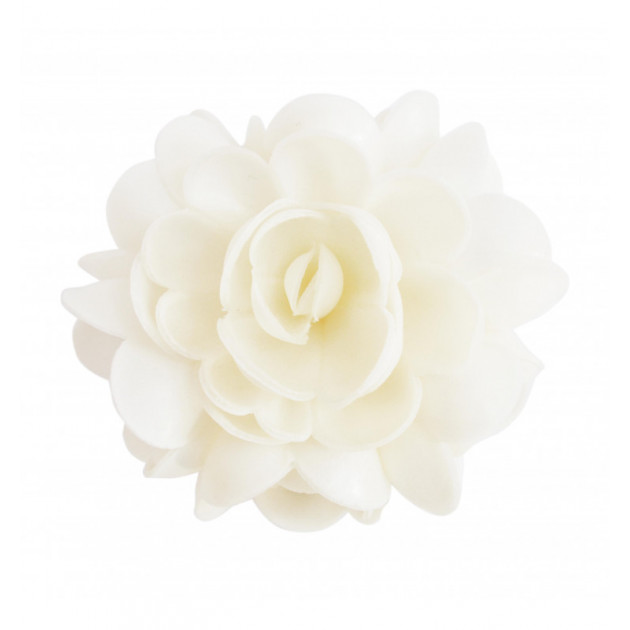 Fleur Azyme Blanc Xxl 10cm Scrapcooking Cuisine Addict Achat Vente Fleur Azyme Blanc Xxl 10cm Scrapcooking Cuisine Addict Achat Vente