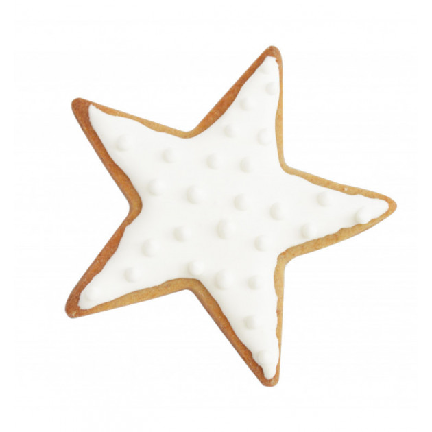 Biscuit Noel etoile Biscuit Noel etoile