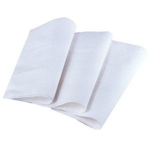 Serviettes Blanches jetables 1 pli 30 x 30 cm (x500) Serviettes Blanches jetables 1 pli 30 x 30 cm (x500)