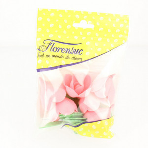 FIN DE SERIE Fleurs de roses x6, grandes feuilles x12 - en Azyme