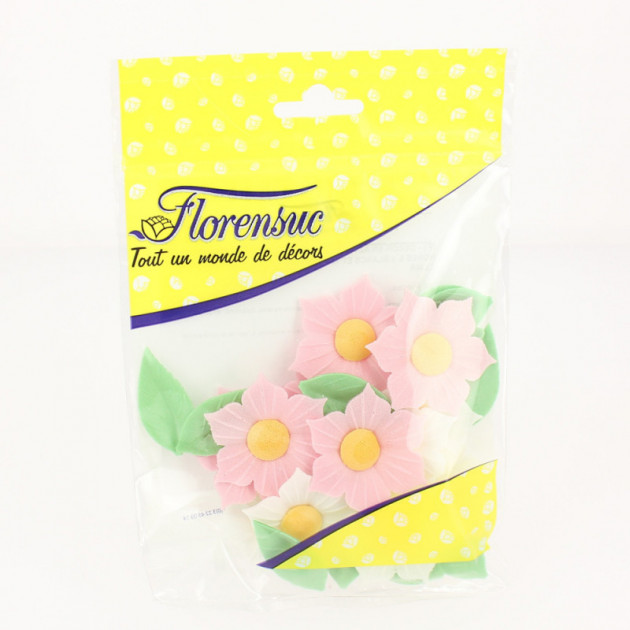 12 Fleurs de Narcisses roses et blanches - en Azyme