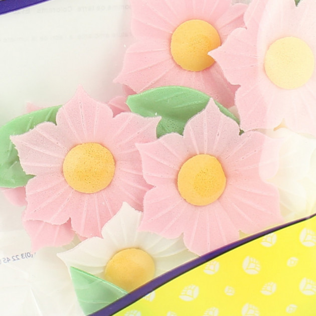 12 Fleurs de Narcisses roses et blanches - en Azyme zoom 12 Fleurs de Narcisses roses et blanches - en Azyme zoom