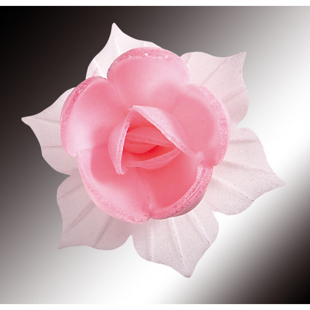 Fleurs de Jonquille rose x5 - en Azyme Fleurs de Jonquille rose x5 - en Azyme