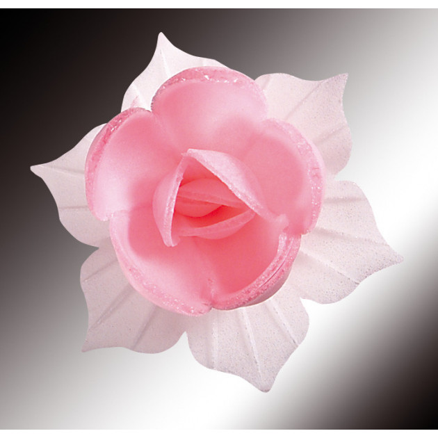 Fleurs de Jonquille rose en Azyme x5, en vente sur Cuisine Addict achat  acheter