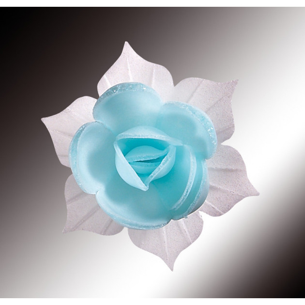 Fleurs de Jonquille bleue en Azyme x5, en vente sur Cuisine Addict achat  acheter