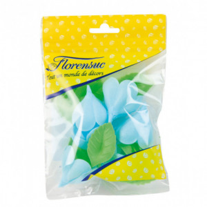 Fleurs de rose bleue x6, grandes feuilles x12 - en Azyme