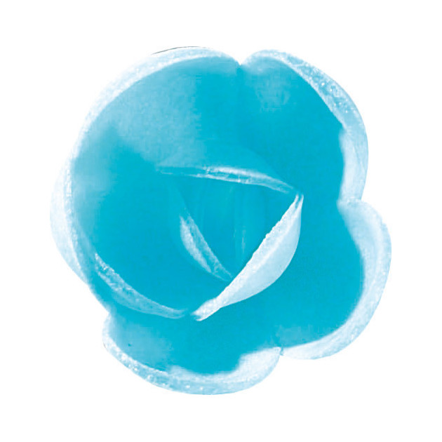 Fleurs de rose bleue x6