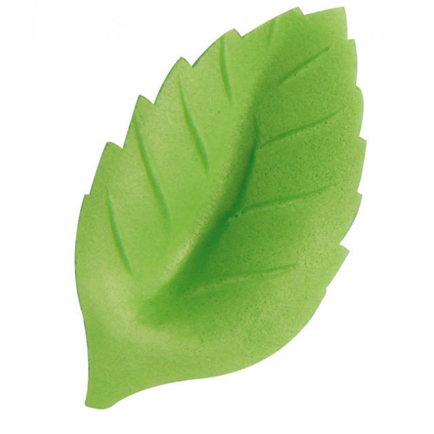 Fleurs de rose bleue x6