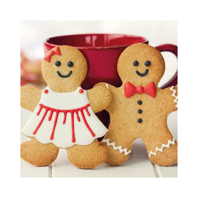 Preparation pour Biscuit aux epices 500 g Funcakes