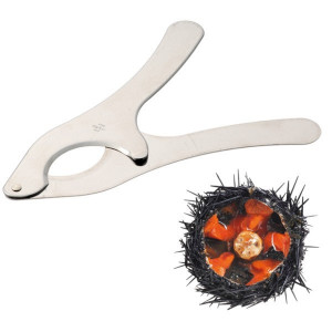 Coupe Oursin en Inox Coupe Oursin en Inox