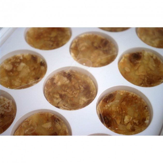 Tartelette en nougatine x 48