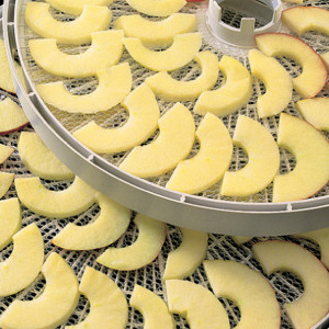 FIN DE SERIE Plateaux (x2) pour Déshydrateur ULTRA1000 Ezidri