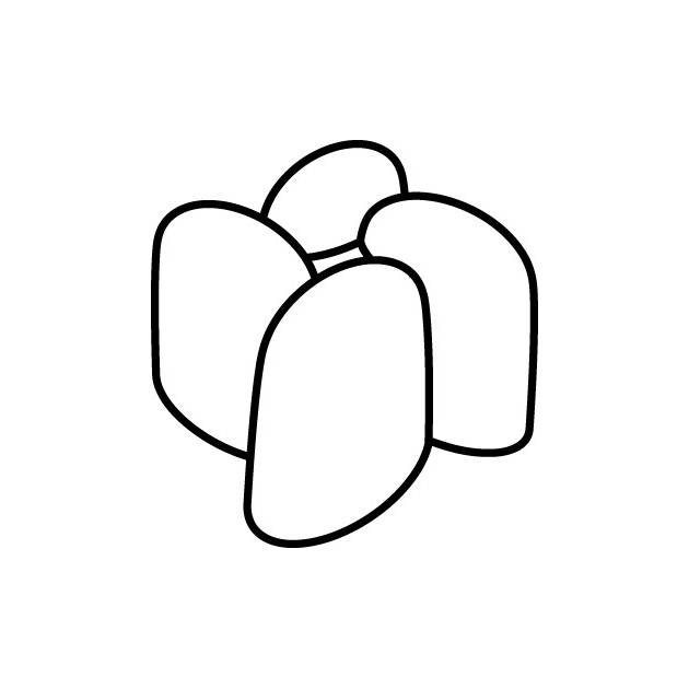 Forme d'un Mini-Helice Pavoflex