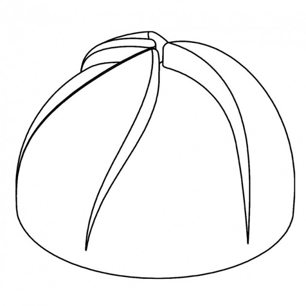 Presentation d'un Dome Vertigo - Moule silicone Pavoflex