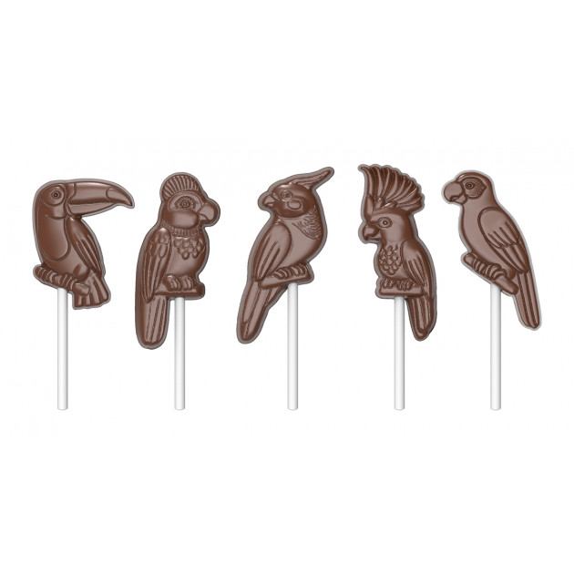 Sucette en Chocolat Oiseaux Tropicaux Moule Sucette Chocolate World