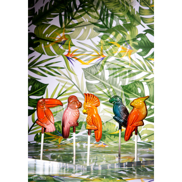 Oiseaux Tropicaux en Chocolat 