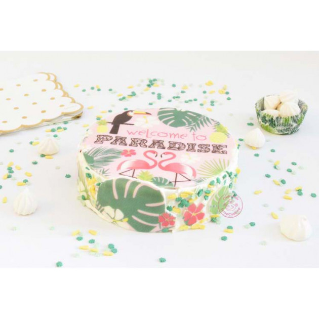 Pate A Sucre Tropical En Rouleau 29 5 Cm 150g Scrapcooking Cuisineaddict Com Achat Vente Pate A Sucre Tropical En Rouleau 29 5 Cm 150g Scrapcooking Cuisineaddict Com Achat Vente