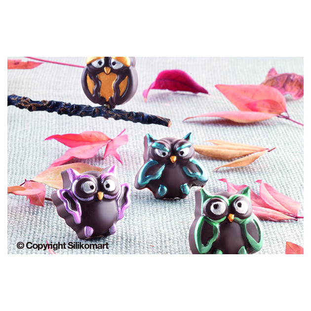 Chocolats Hiboux décorés Chocolats Hiboux décorés