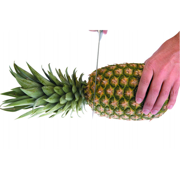 Coupe Ananas Plastique Ø 8,5 cm x H 25 cm Ibili - Cuisineaddict