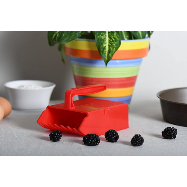 Peigne Mûres Myrtille Rouge Yoocook