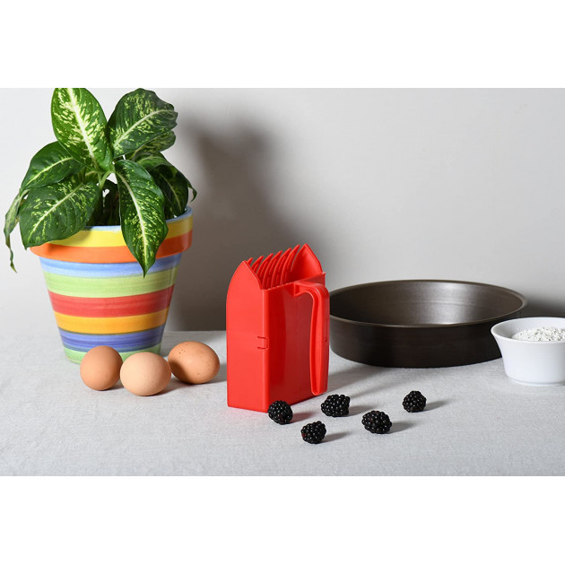 Peigne Myrtilles et Mûres en Plastique