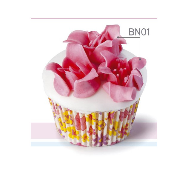 Utilisation Douille Russe XL