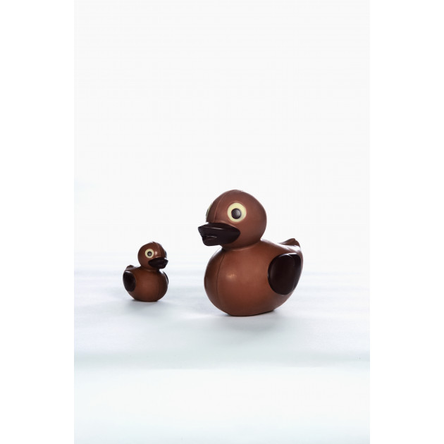 Moule Chocolat Canards (x2) Pavoni