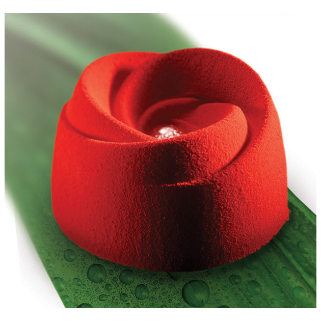 Portion individuelle Entremets Bougeron Pavoflex