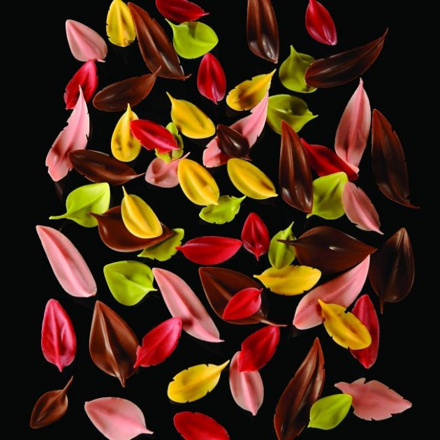 Feuille en Chocolat Flychoc Pavoni Feuille en Chocolat Flychoc Pavoni