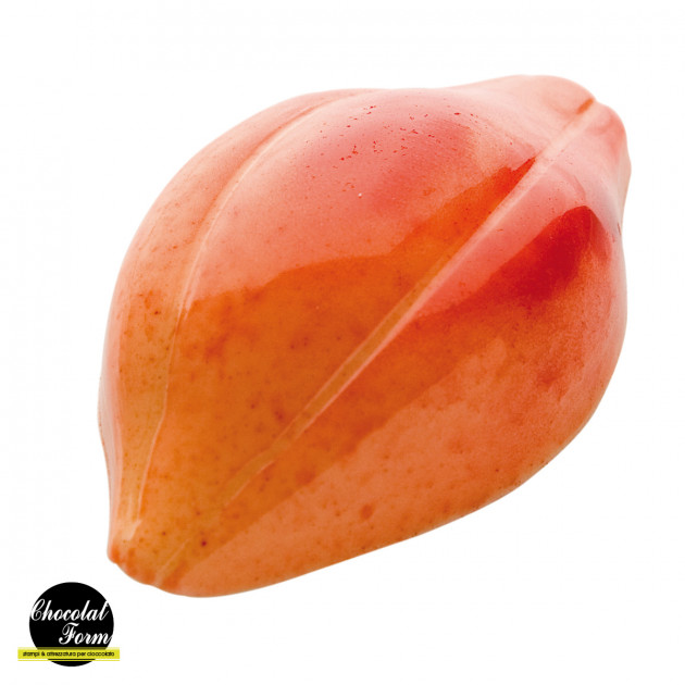 Moule Chocolat Polycarbonate Fève Cacao 4,7 cm (x24) Chocolat Form Moule Chocolat Polycarbonate Fève Cacao 4,7 cm (x24) Chocolat Form