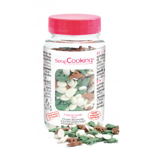 Décors en Sucre Dinosaure 55 g Scrapcooking Décors en Sucre Dinosaure 55 g Scrapcooking