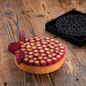 Moule Entremet Silicone Pavoni Classic