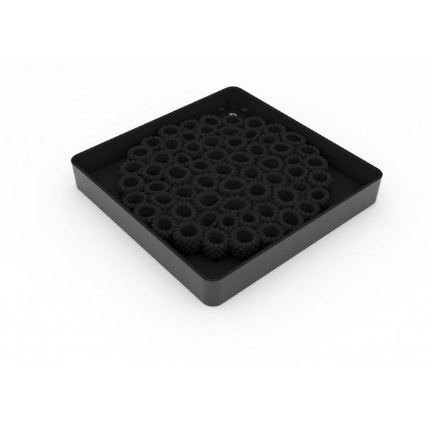 Moule Silicone Framboises Ø 18 cm